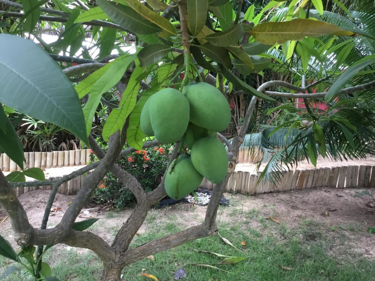 לינה וארוחת בוקר קנואה קבראדה Casa Do Jardim מראה חיצוני תמונה